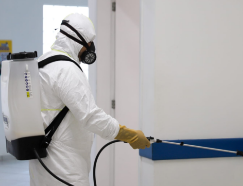 Criciúma intensifica ações contra dengue com inseticida