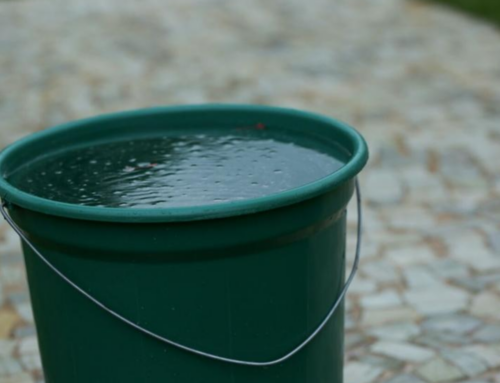 Homem joga balde de água em pedestre e caso vira ocorrência policial