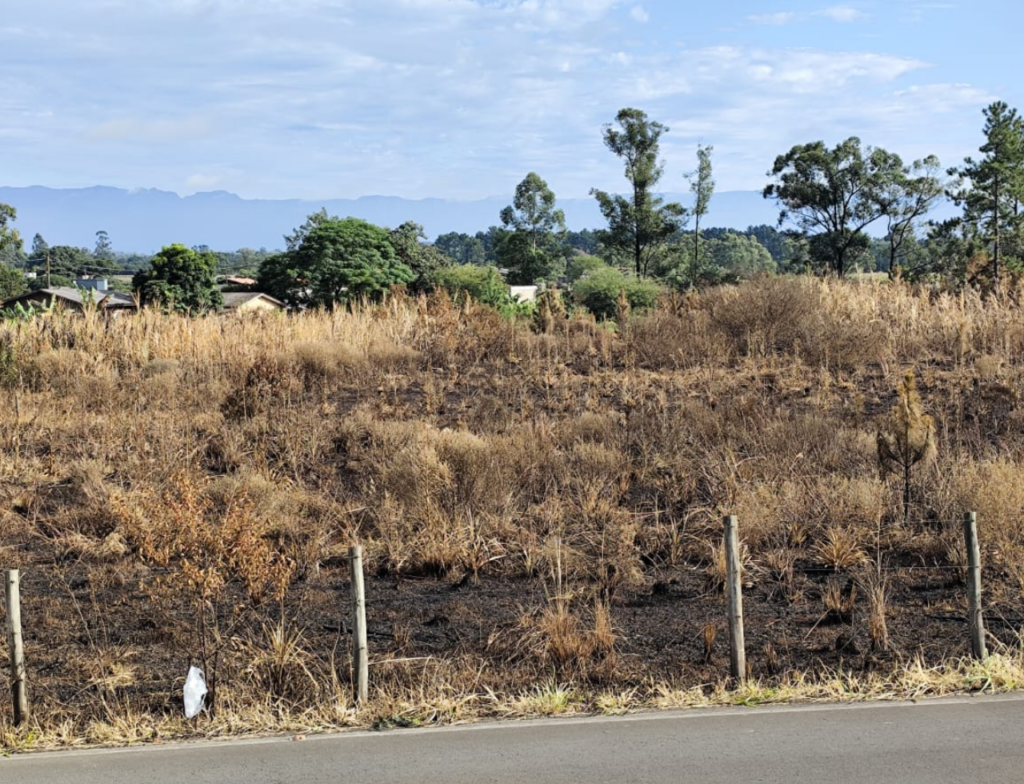 Incêndio expõe abandono de terreno às margens da BR-101