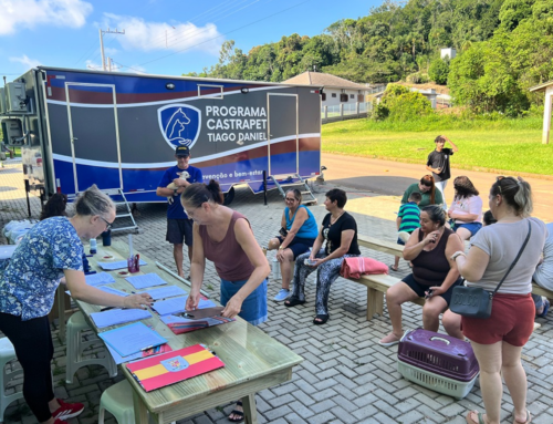 Mutirão de Castração atende quase 100 animais em Santa Rosa do Sul
