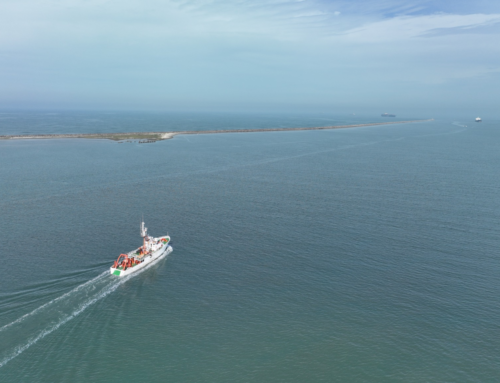Maior projeto de biodiversidade marinha do Sul inicia na Bacia de Pelotas