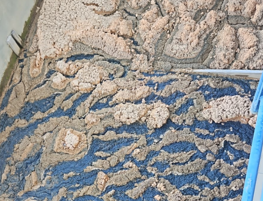 Reservatórios atingem nível crítico em Itajaí e Navegantes neste sábado