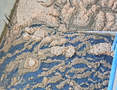 Reservatórios atingem nível crítico em Itajaí e Navegantes neste sábado