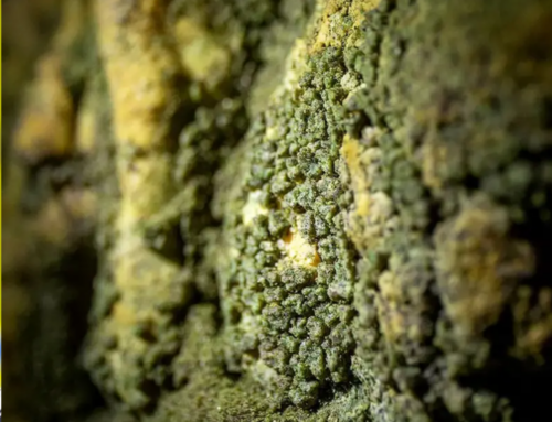 Descoberta Científica amplia possibilidades de vida extraterrestre