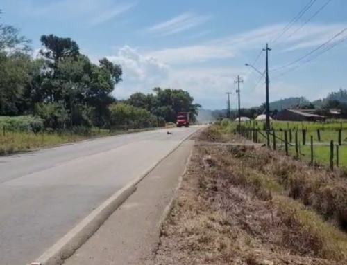 Obras na SC-446 exigem atenção redobrada de motoristas