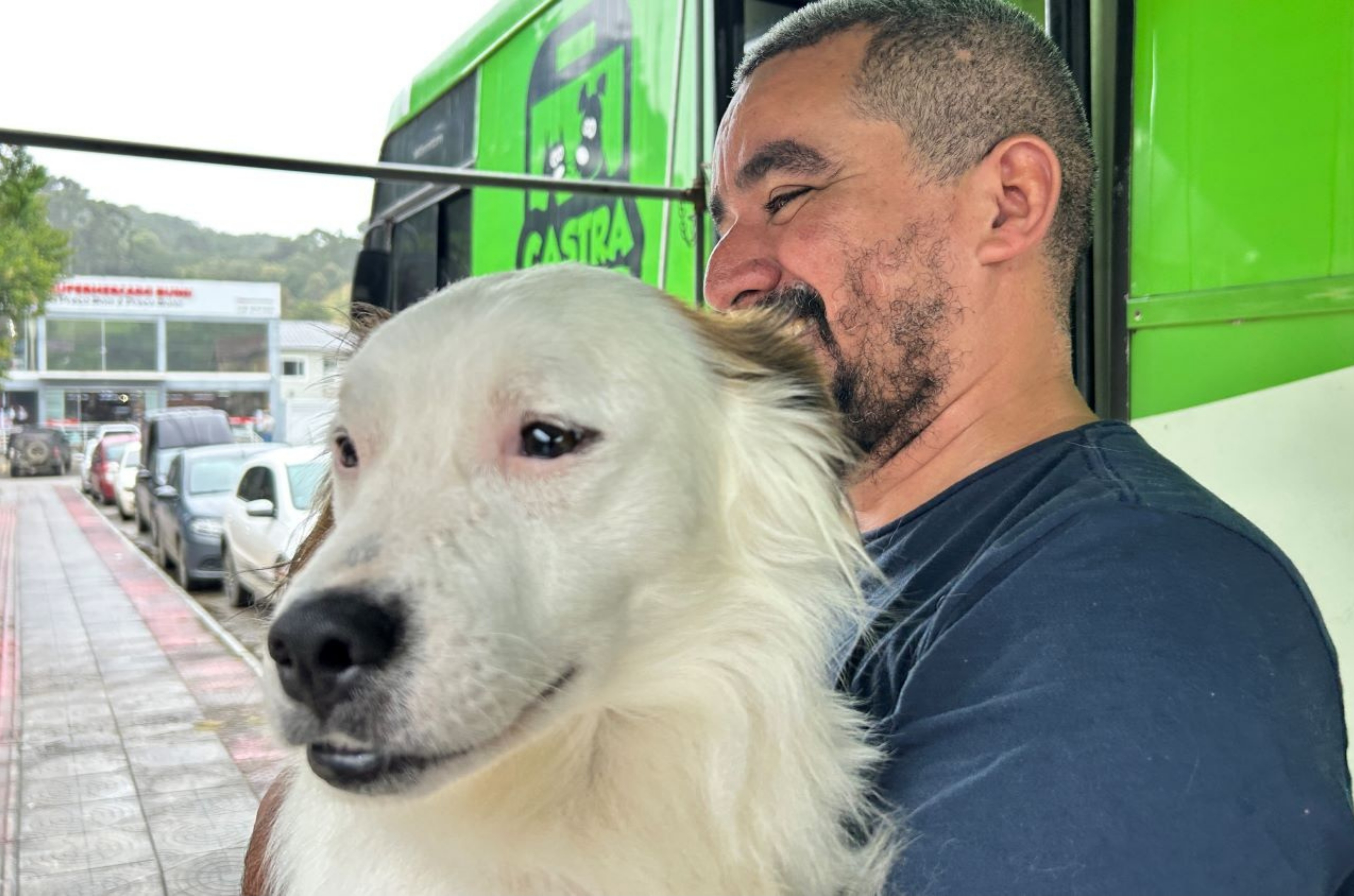 Abril Laranja: Santa Catarina intensifica ações contra maus-tratos a animais