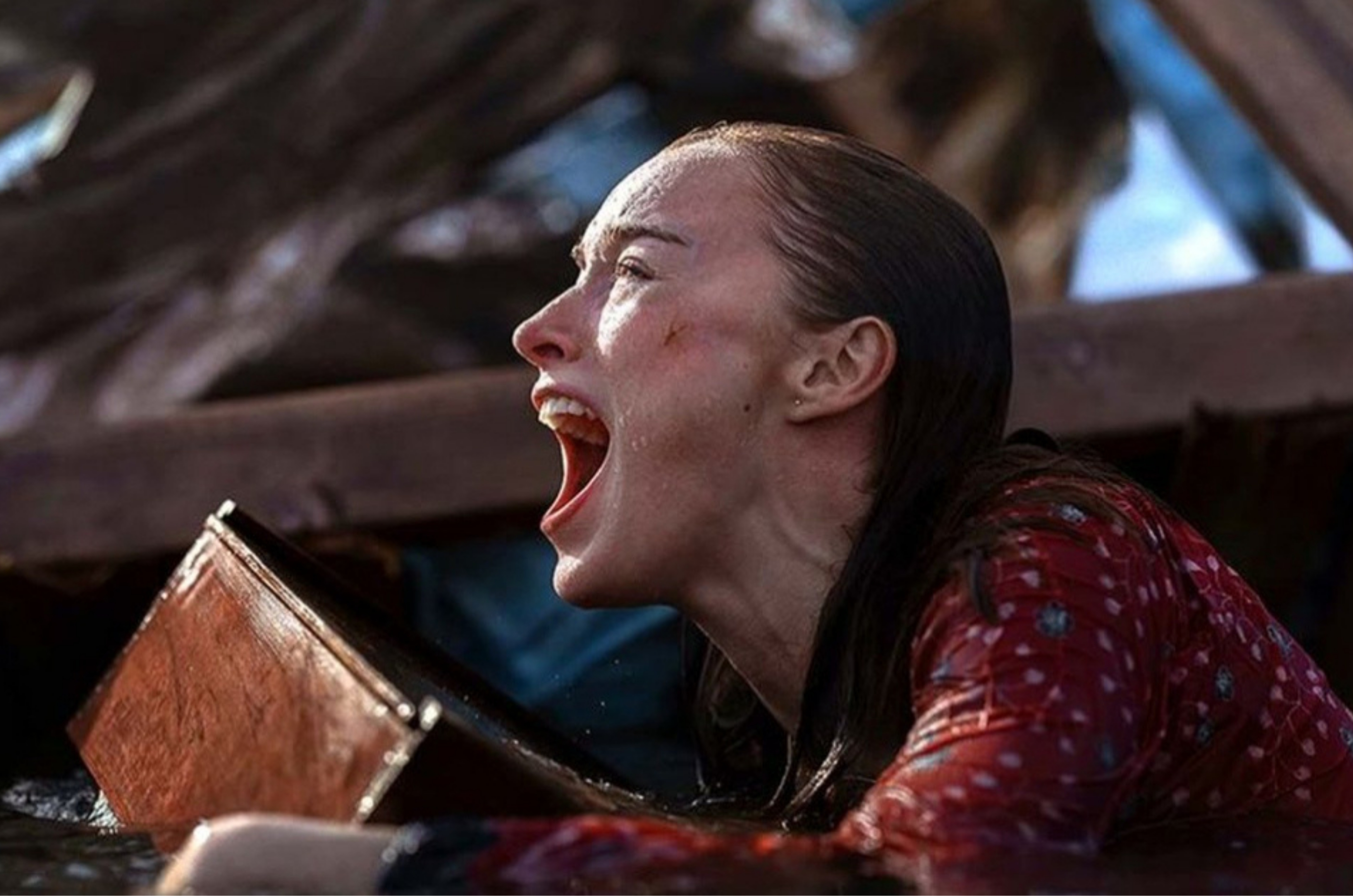 Ataque Brutal: terror com tubarões estreia na Netflix