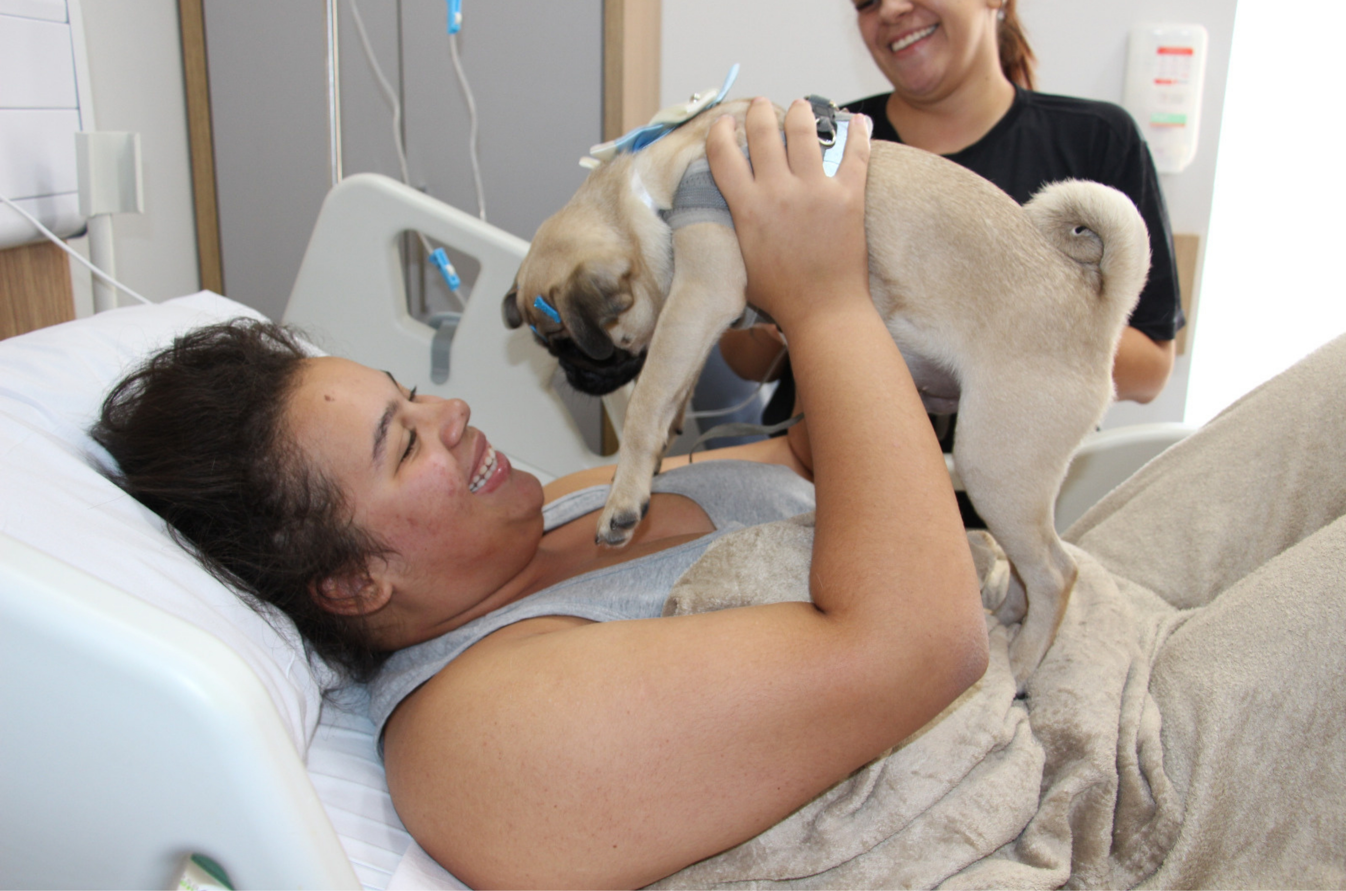 Cachorrinho visita hospital em Tubarão e emociona ao ajudar paciente a melhorar