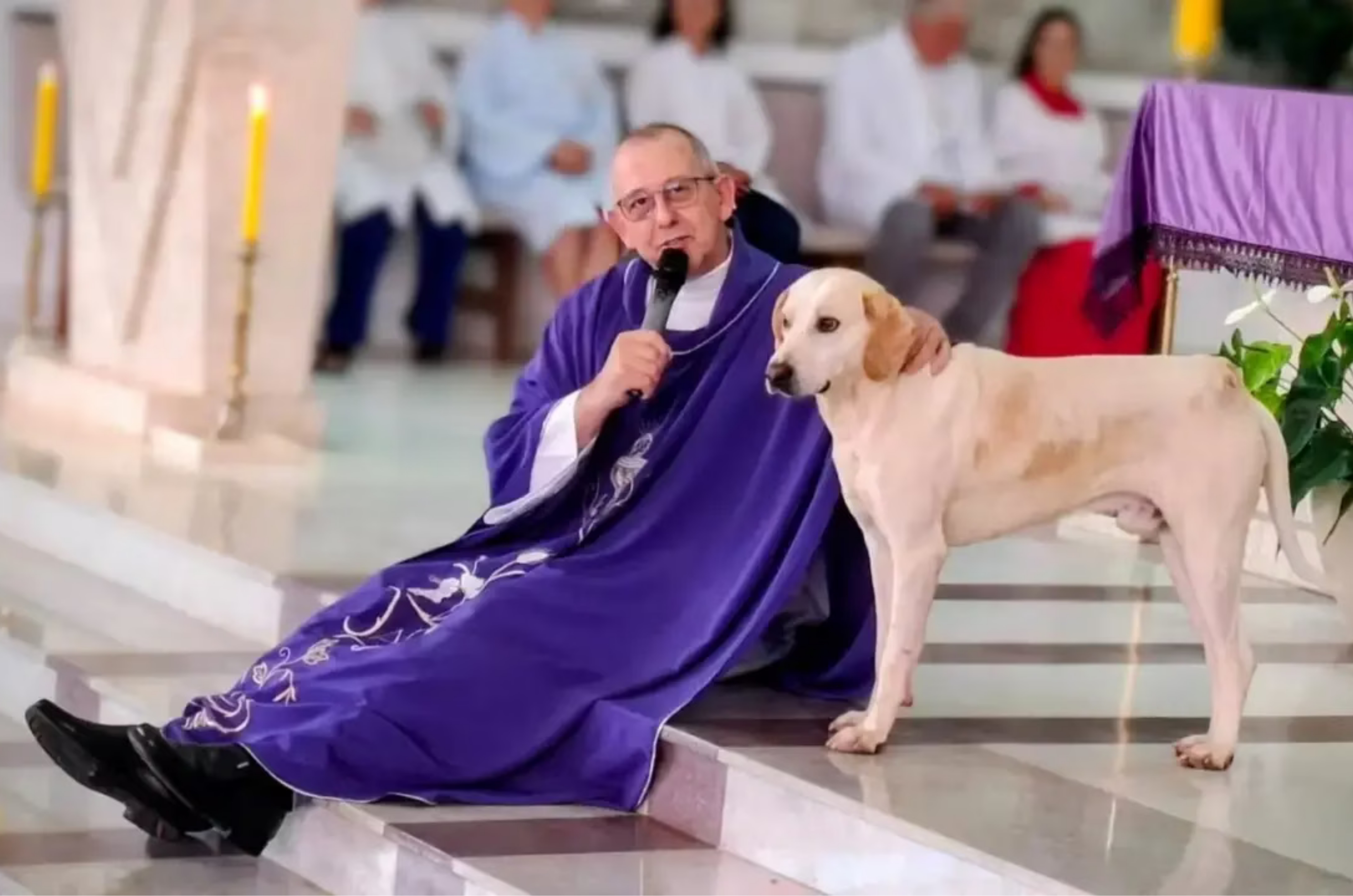 Cachorro invade igreja e atitude durante missa emociona fiéis