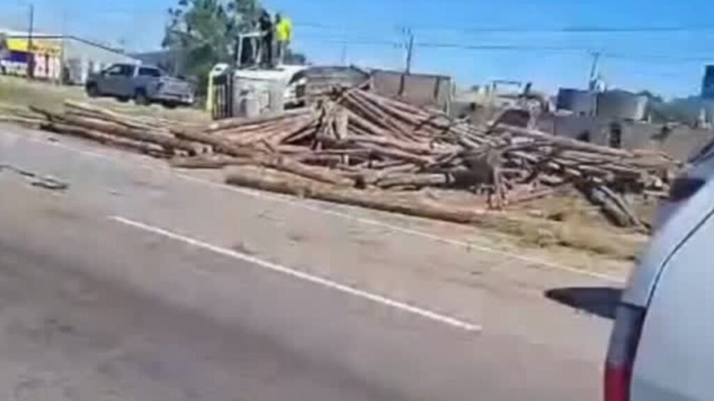 Caminhão tomba na BR-101 e espalha carga de madeira em Imbituba