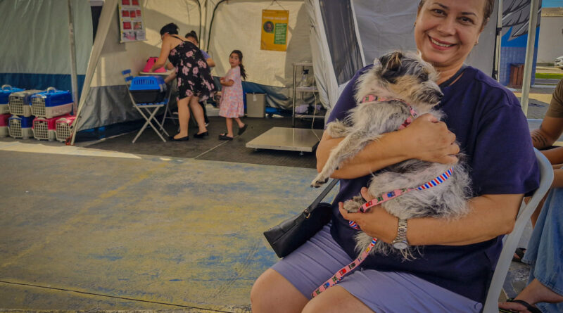 Inscrições abertas para mutirão de castração gratuito de cães e gatos em Navegantes