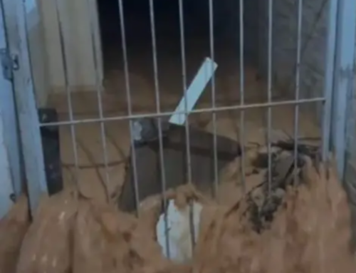 Chuva alaga casa pela quarta vez em cidade da Grande Florianópolis