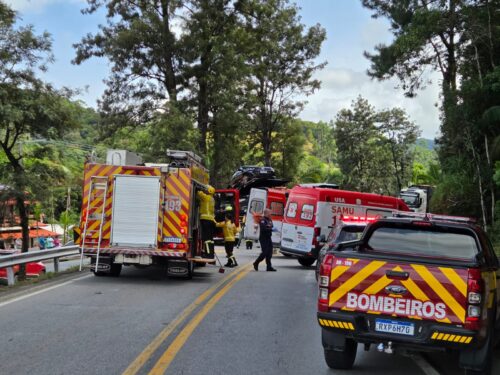 Colisão entre carro e caminhão deixa mulher ferida na BR-282