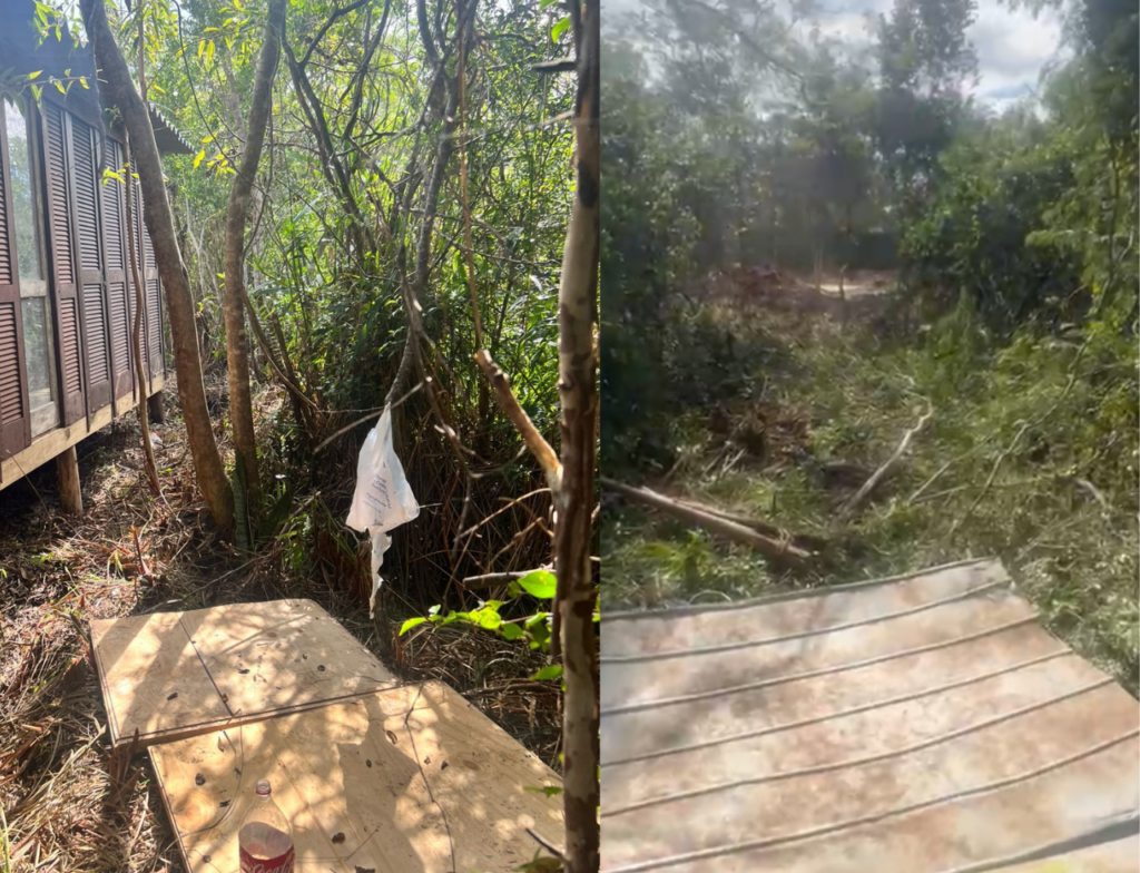 Construção ilegal em área protegida é descoberta em Florianópolis