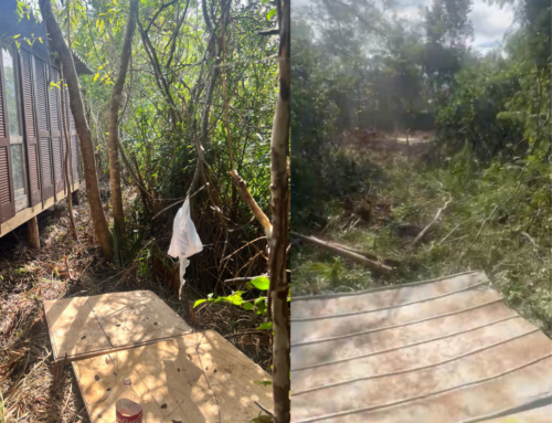 Construção ilegal em área protegida é descoberta em Florianópolis