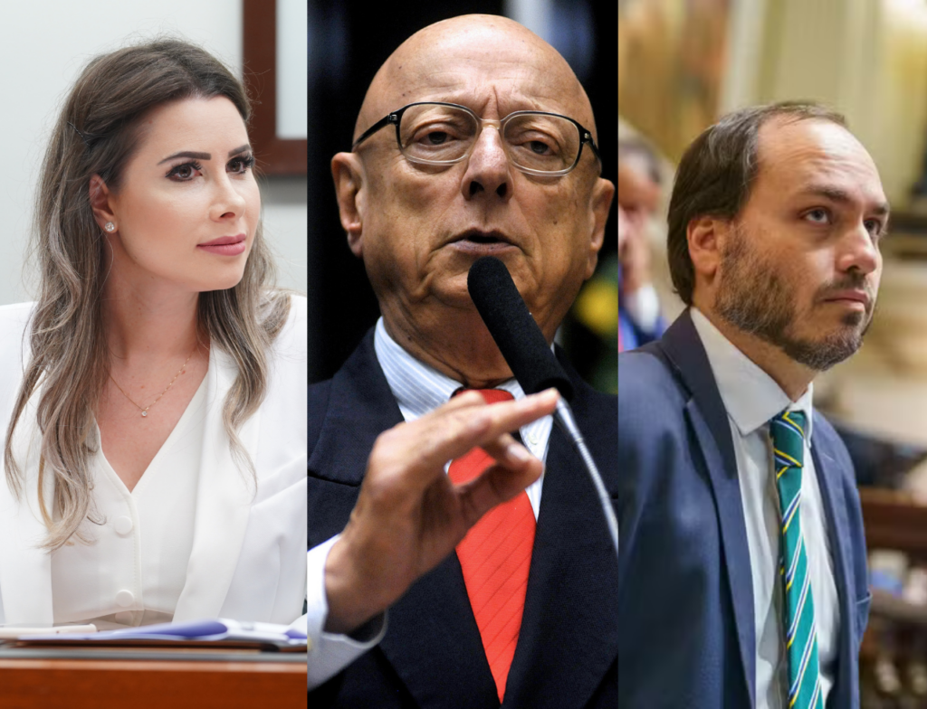 Carol De Toni lidera disputa ao Senado em SC, aponta AtlasIntel