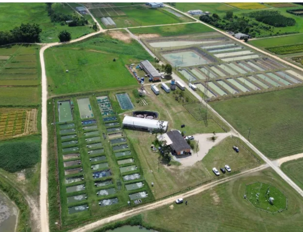 Epagri inaugura ampliação em centro de piscicultura
