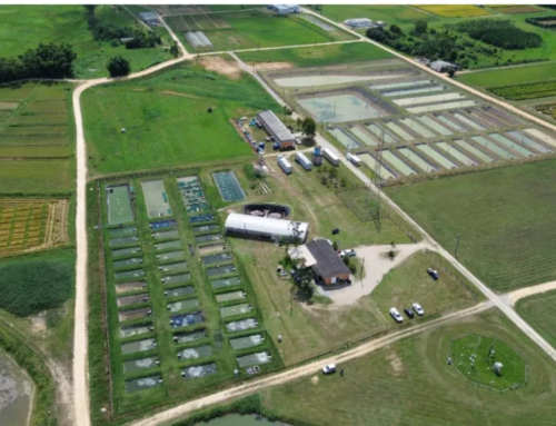 Epagri inaugura ampliação em centro de piscicultura