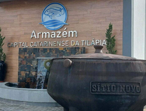 5ª Festa da Tilápia de Armazém deve atrair mais de 10 mil pessoas