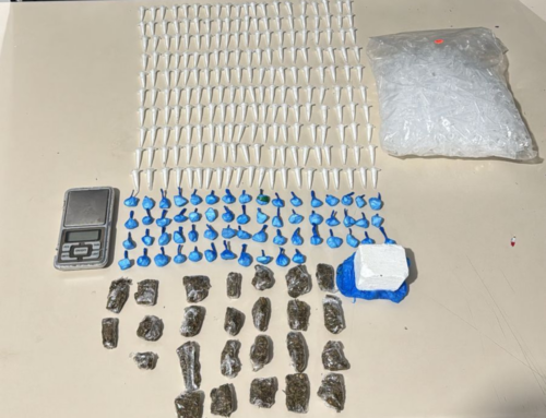 Polícia apreende grande quantidade de drogas em São Ludgero