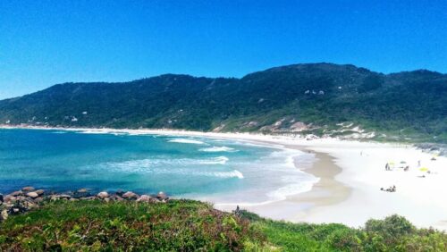 Drone flagra orgia a céu aberto em praia naturista de Florianópolis