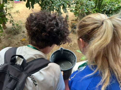 Focos do mosquito da dengue disparam e acendem alerta em Laguna