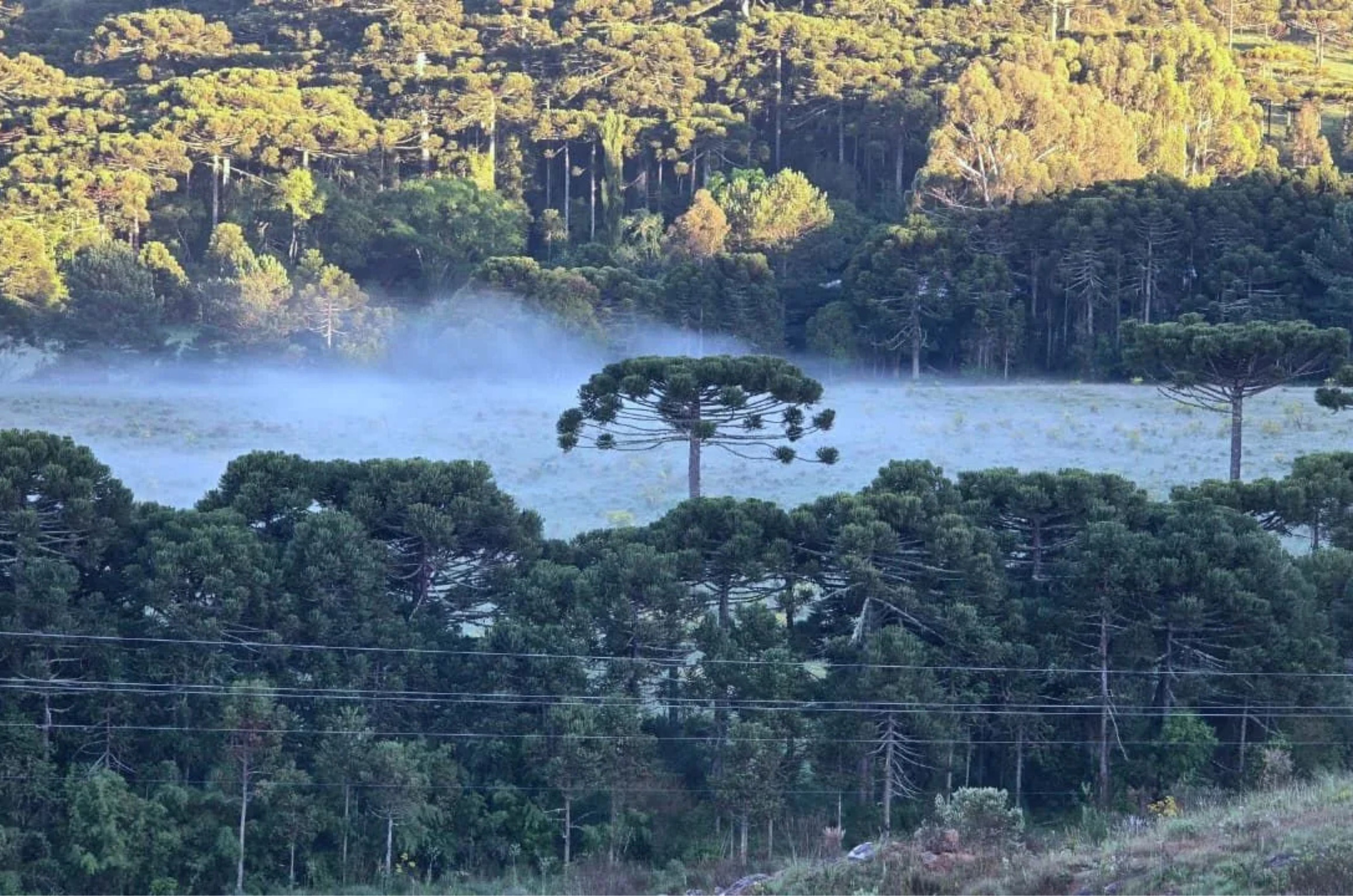 Frio surpreende e mar agitado acende alerta em Santa Catarina