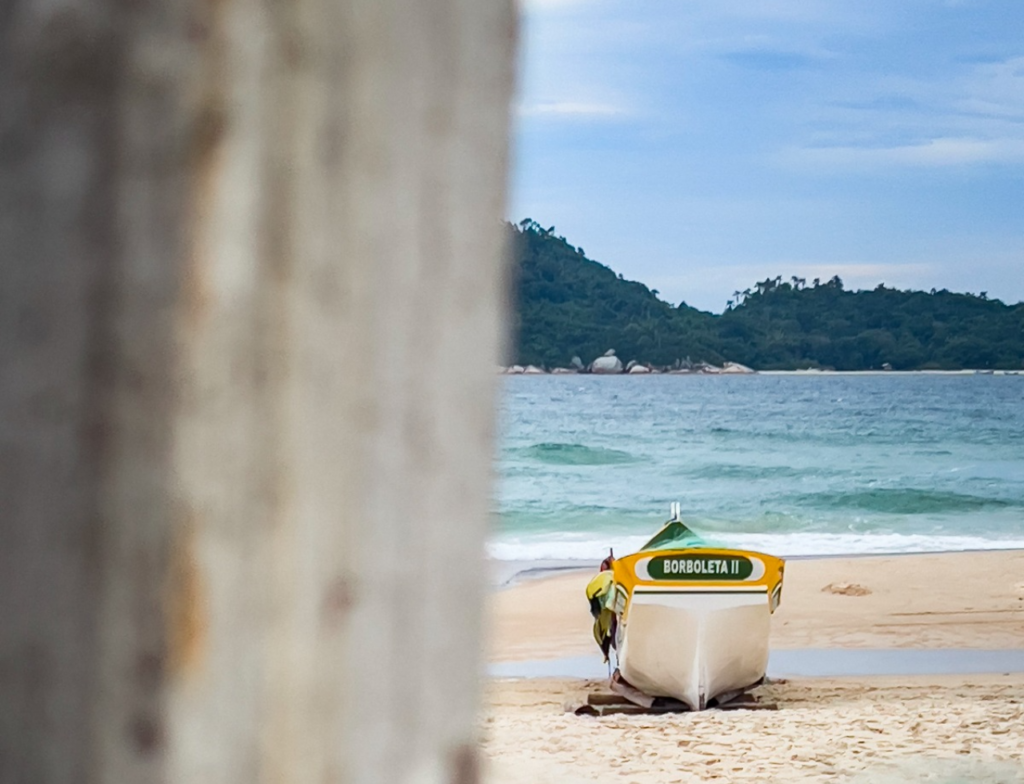 Ilha do Campeche terá acesso suspenso durante safra da tainha