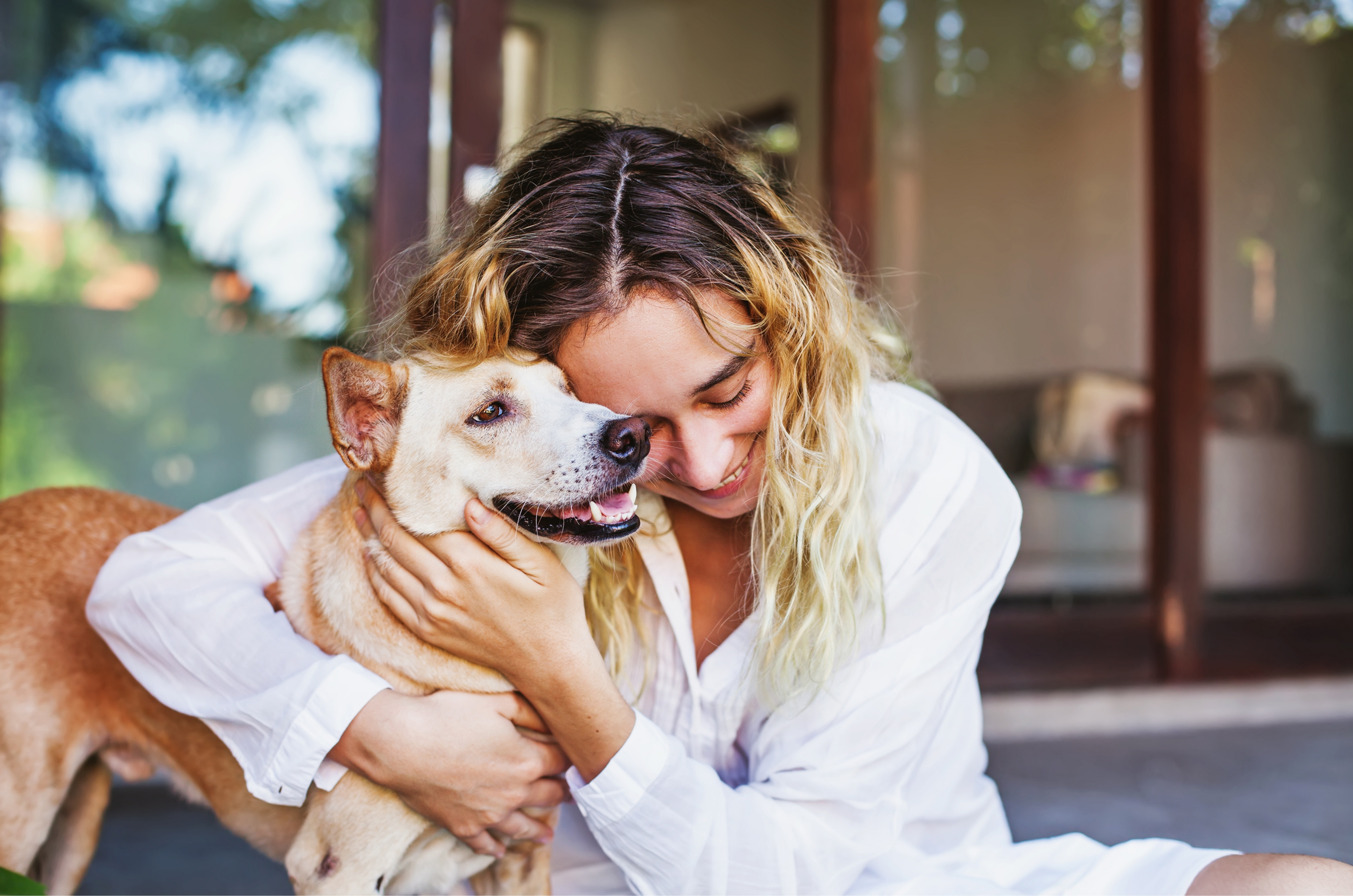 Itália libera licença para cuidar de pets e surpreende trabalhadores