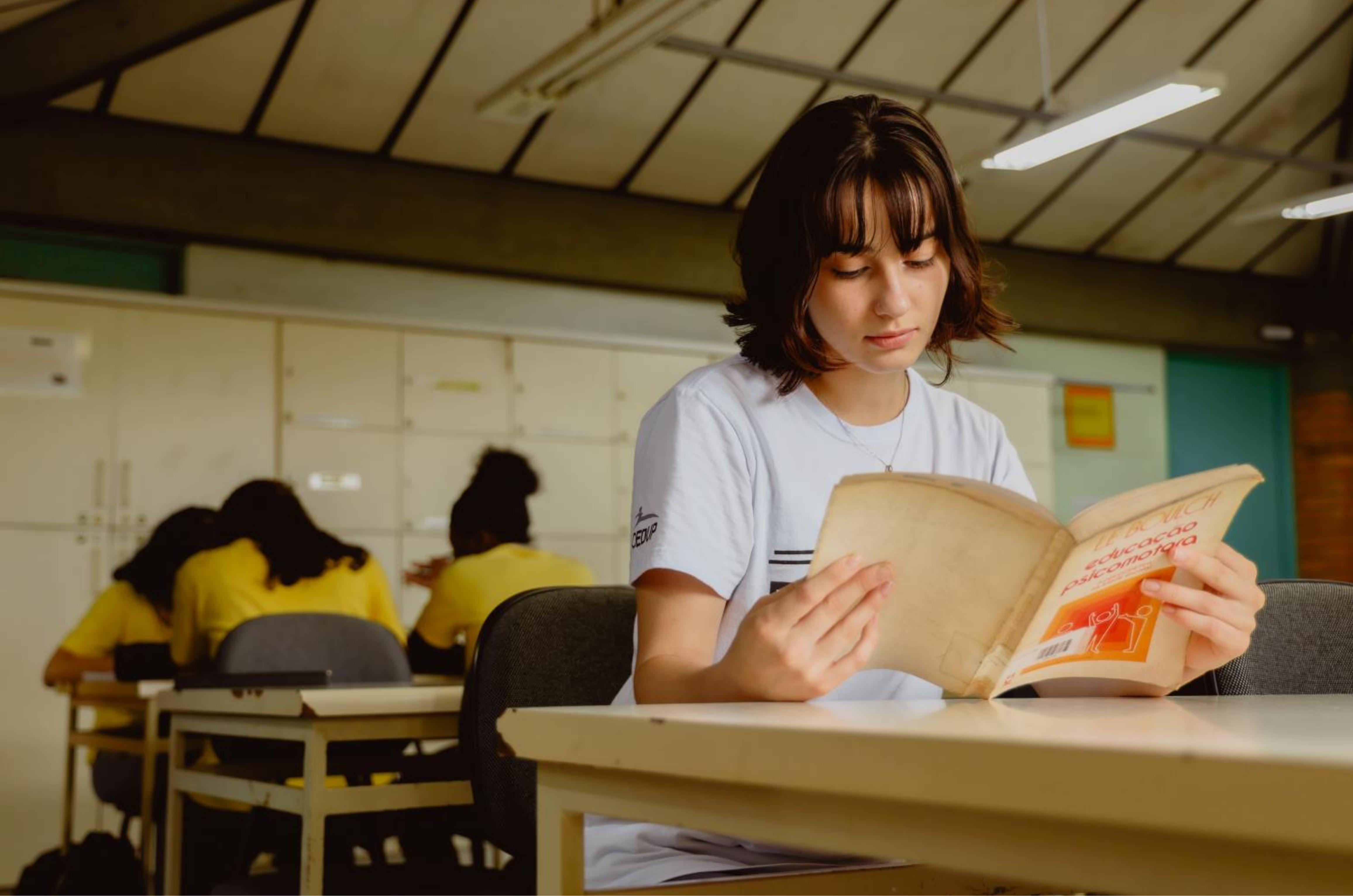 Jovens de Santa Catarina ganham ensino gratuito e acesso ao emprego