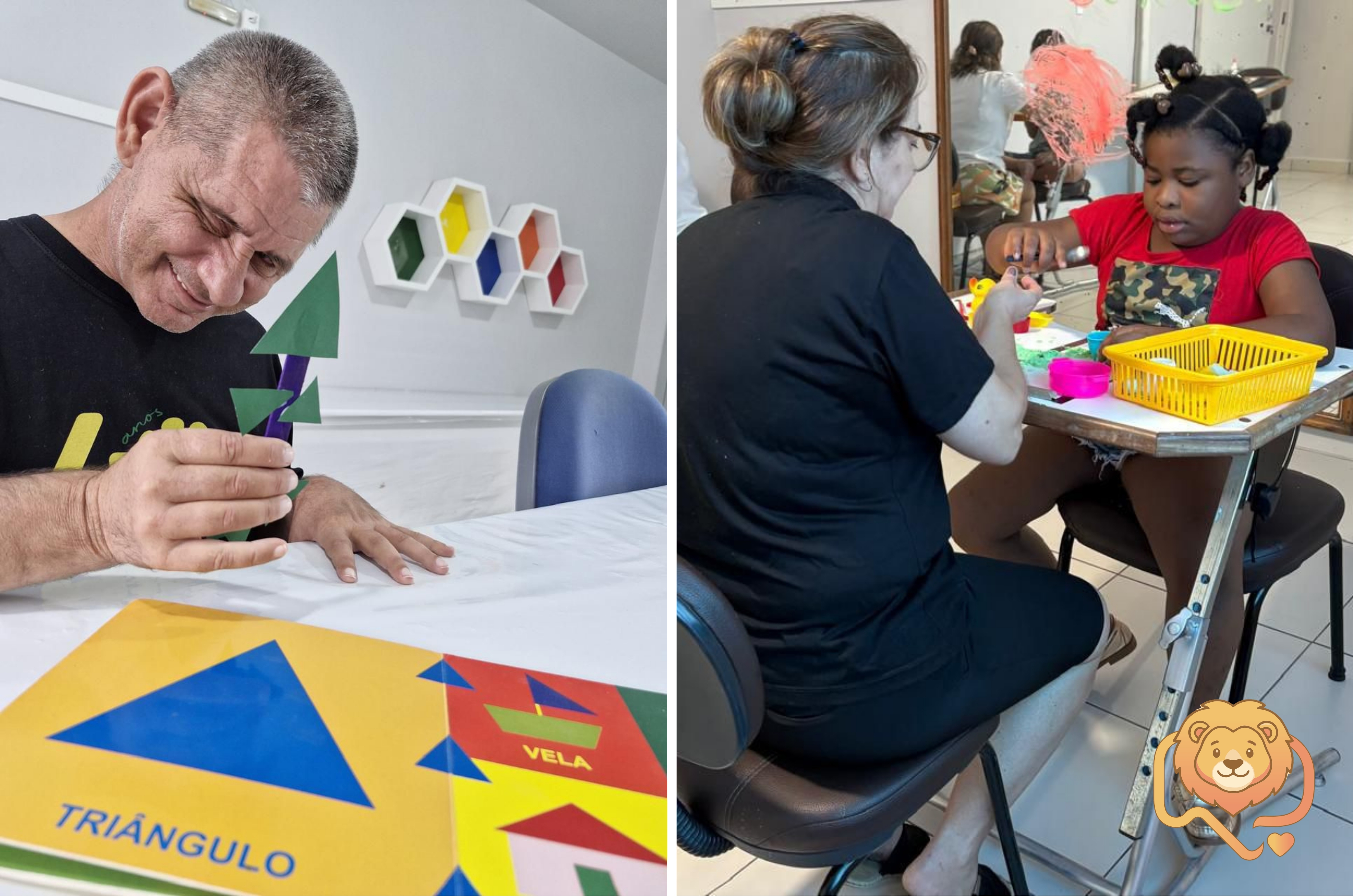 Leão do Bem: APAE de Orleans reforça importância de doações ao FIA