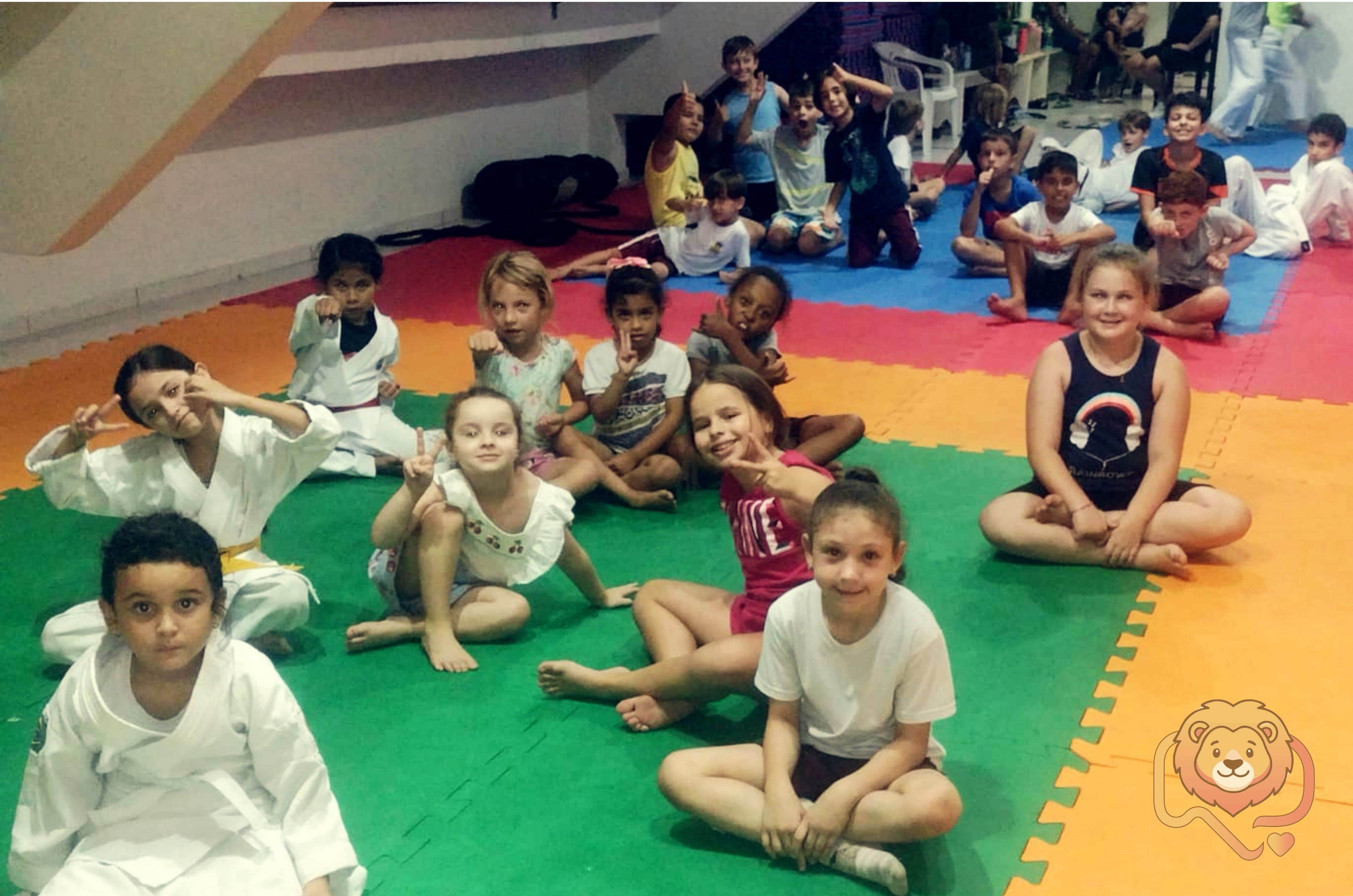 Leão do Bem: projeto de karatê em São Ludgero busca apoio