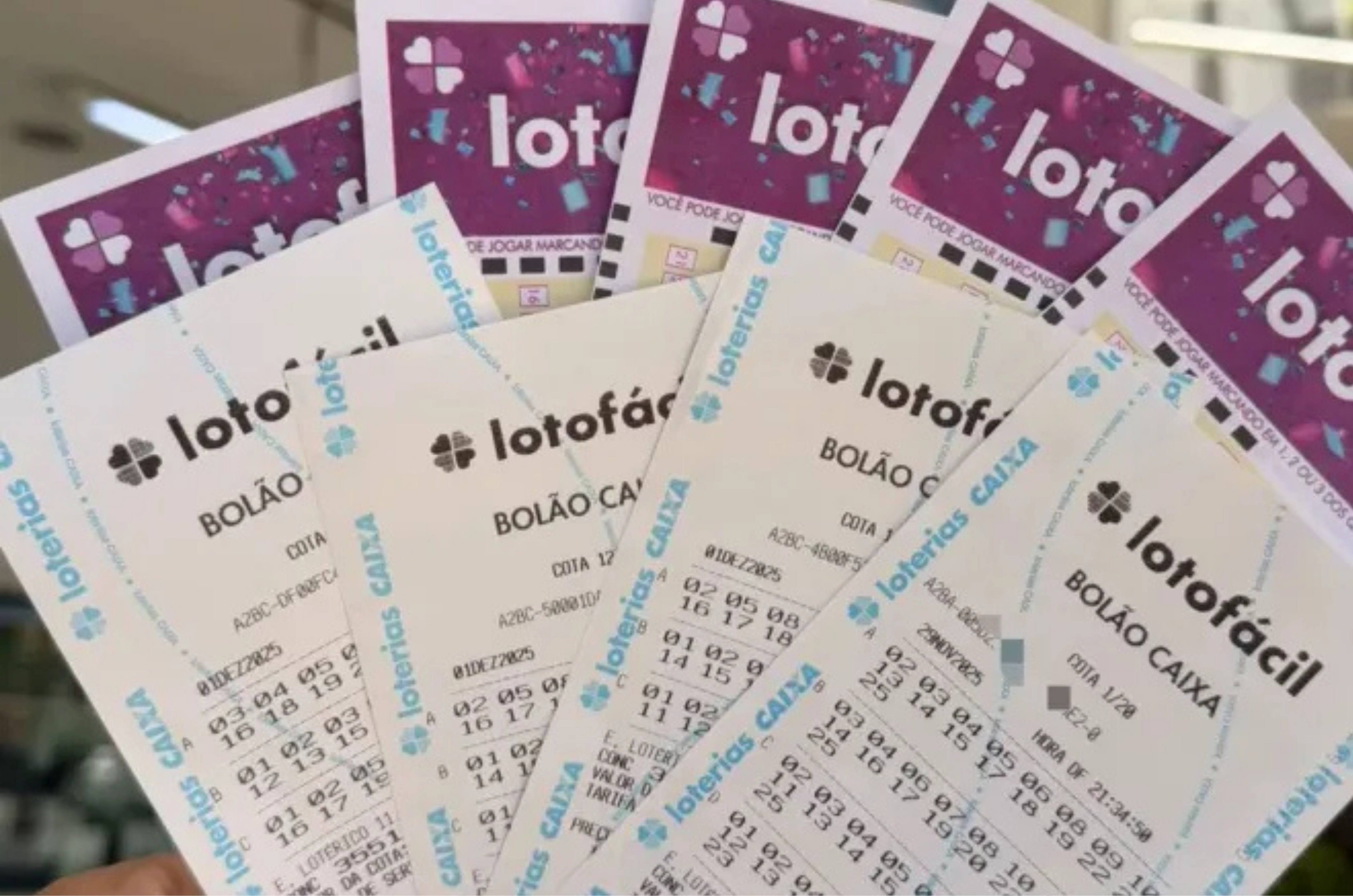 Lotofácil 3656 paga R$ 484 mil e tem 4 ganhadores; veja cidades