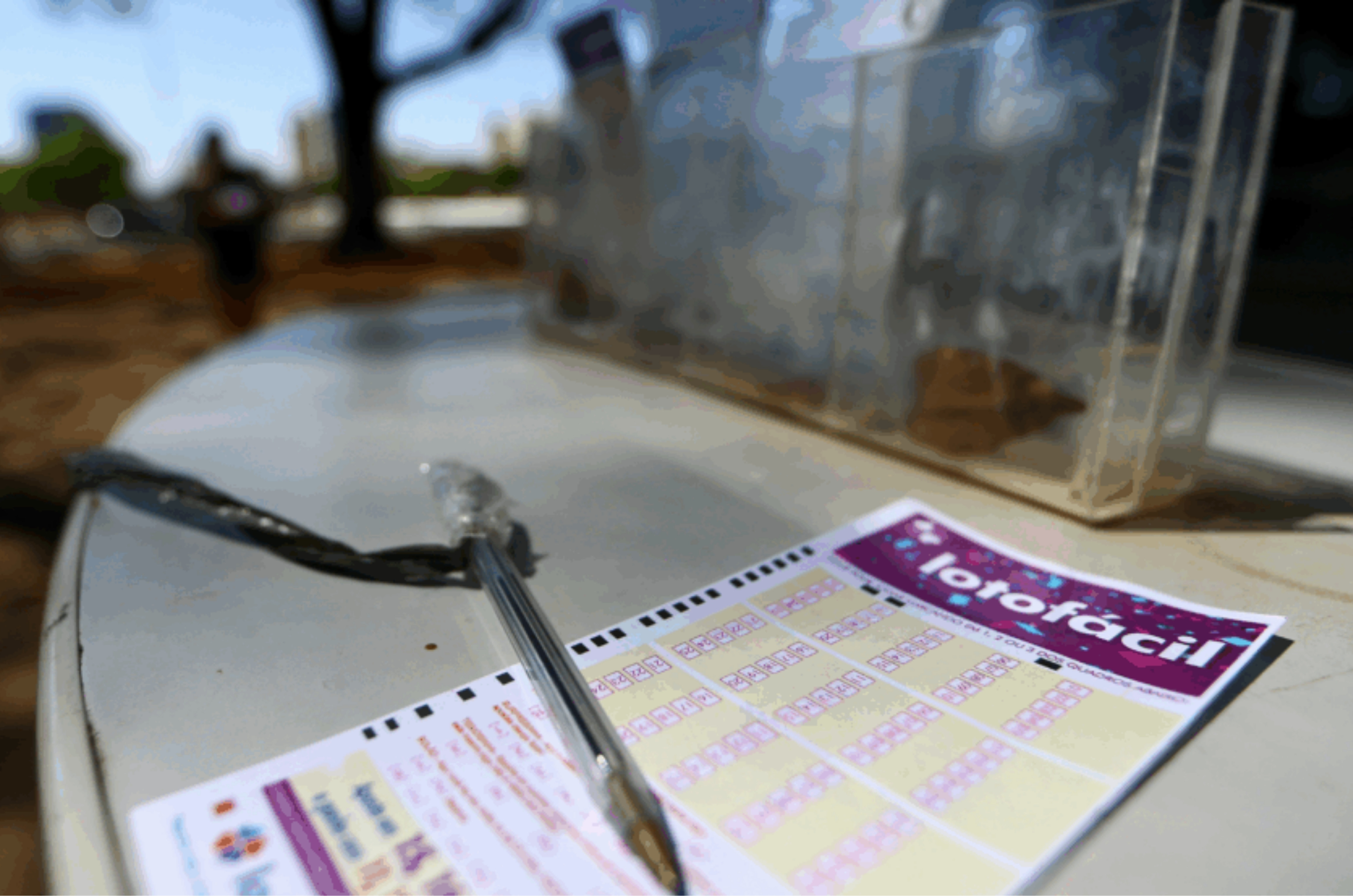 Lotofácil acumula e prêmio dispara para R$ 13 milhões