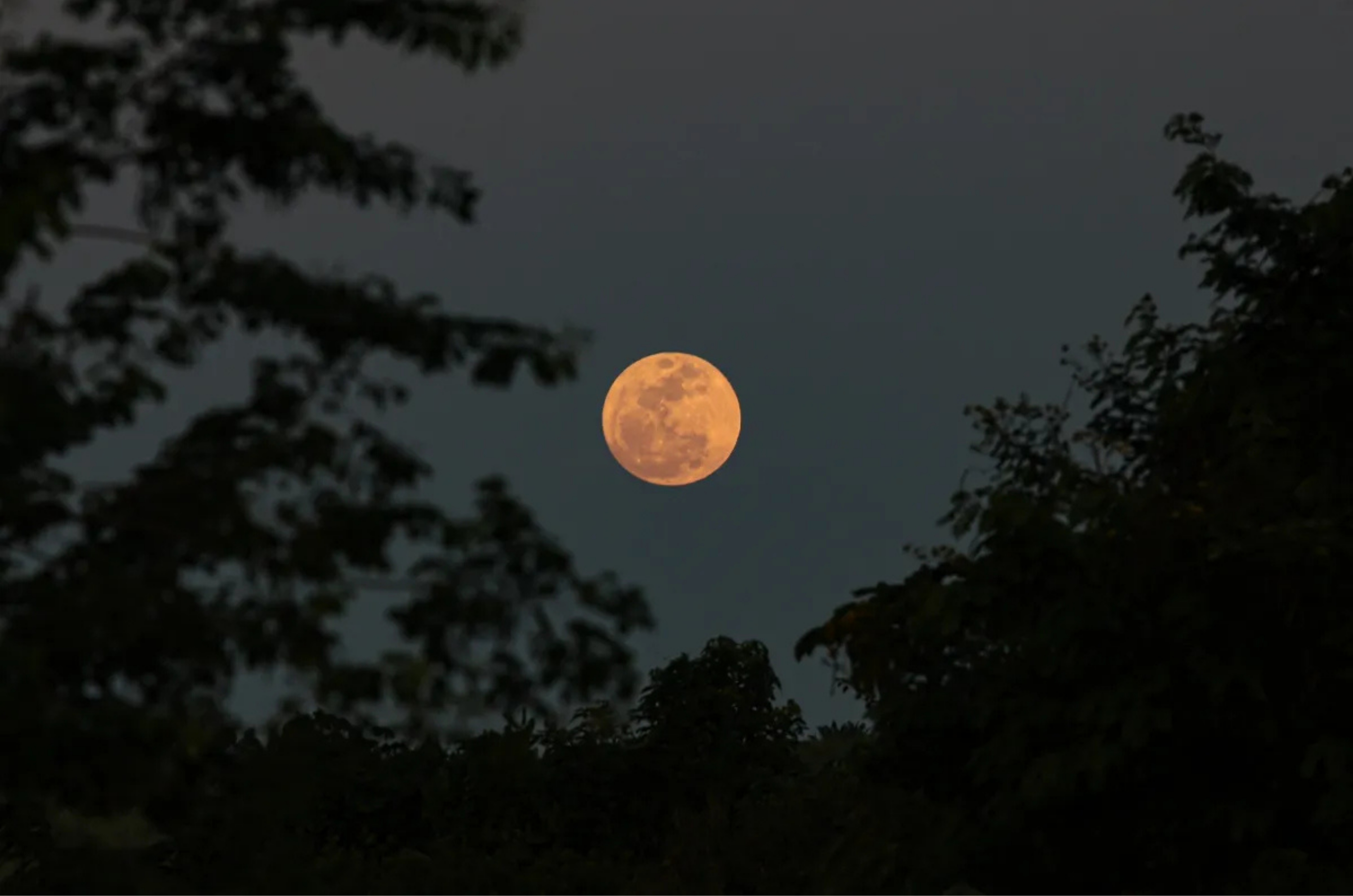 Lua Cheia das Flores ilumina o céu nesta sexta (1º); veja significado