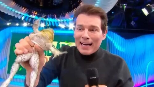 MP investiga Celso Portiolli e SBT por cena com rã em programa