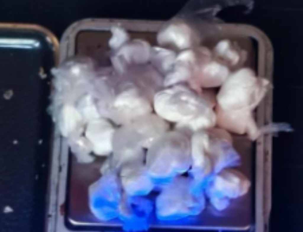 Polícia apreende cocaína escondida em área de Criciúma