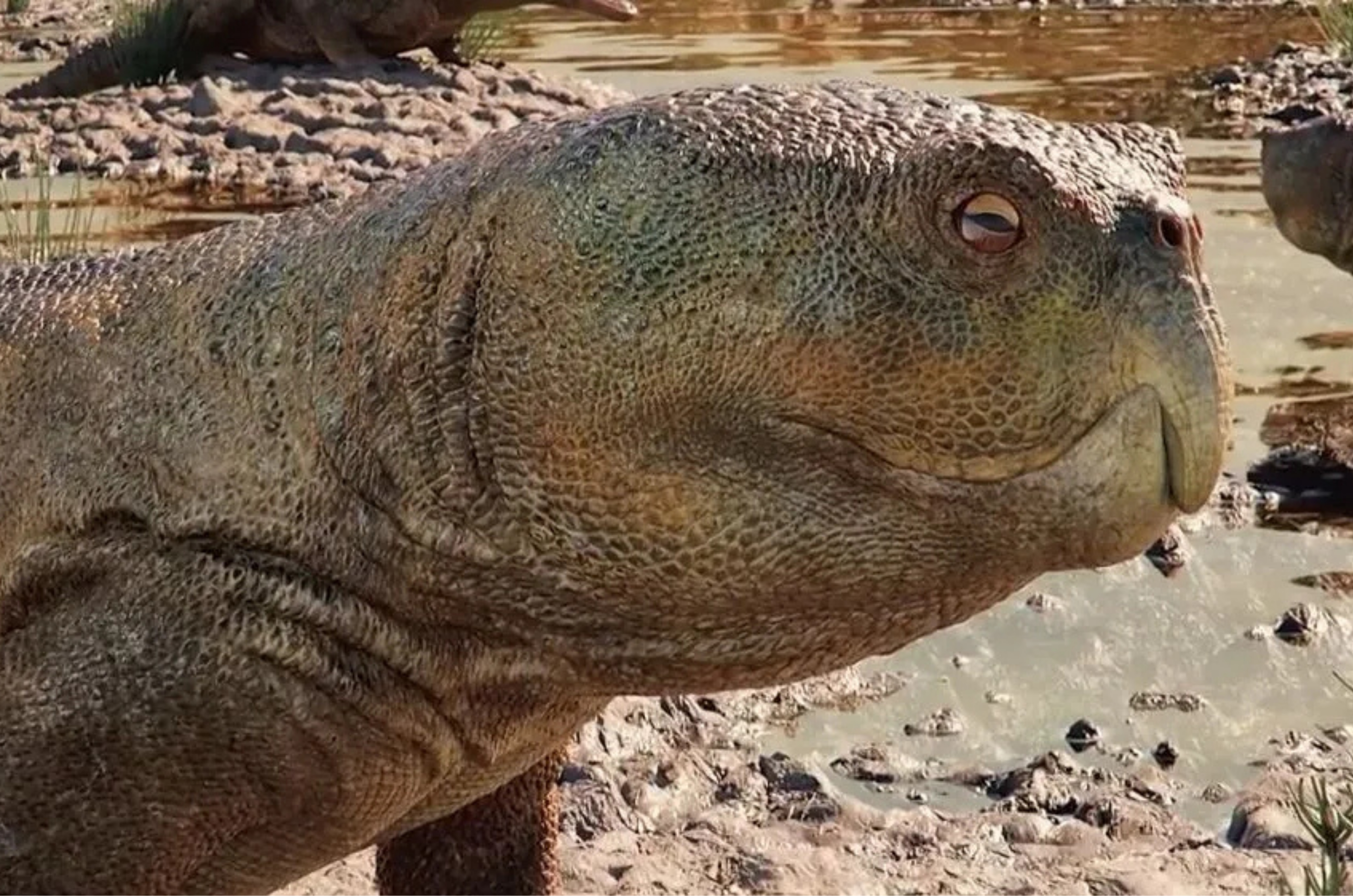 Réptil com “bico de papagaio” intriga cientistas no RS