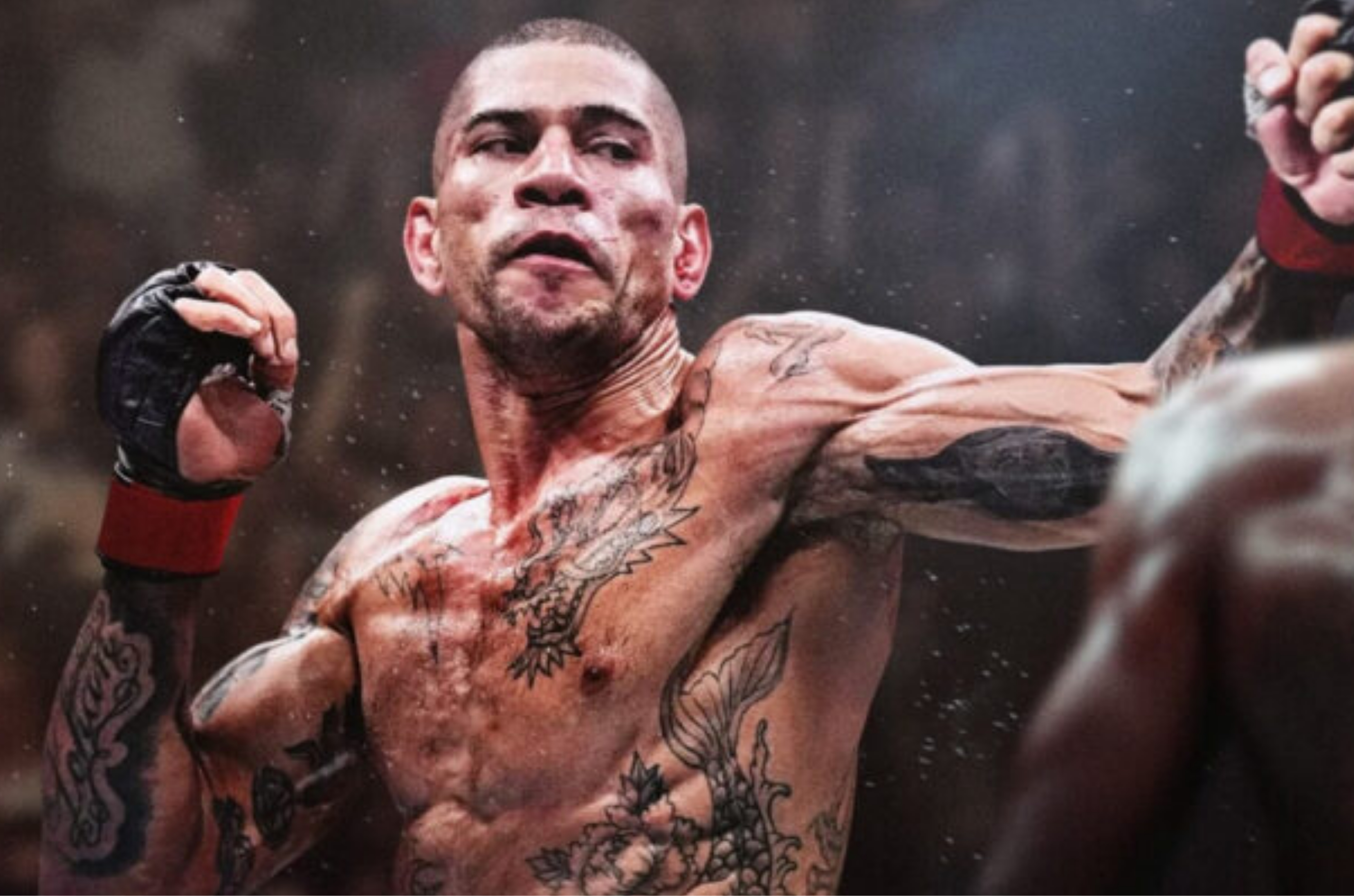 UFC 6 é anunciado: veja preço, edições e novidades do game