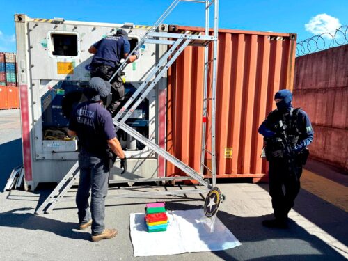 Mais de 13kg de cocaína são apreendidos em carregamento de frango com destino para Espanha em porto de SC