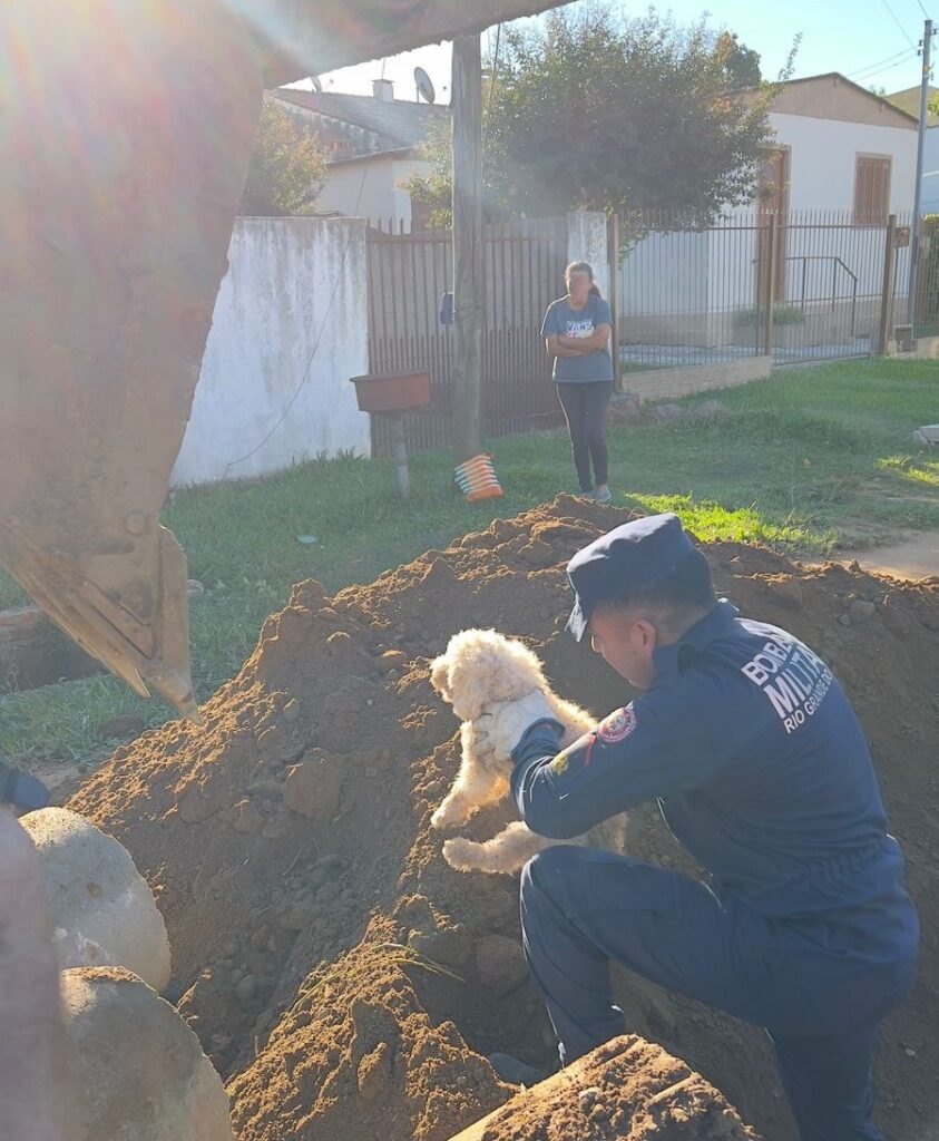 Resgate de cão preso em tubulação de esgoto mobiliza equipes de socorro no RS