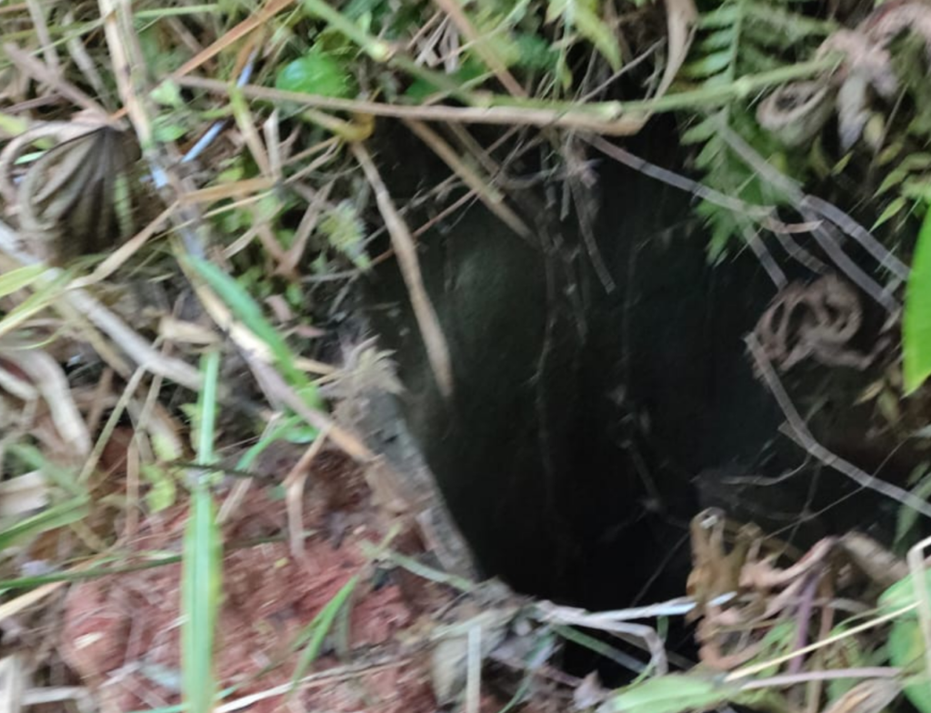 Bombeiros resgatam cão em galeria pluvial em Santo Amaro