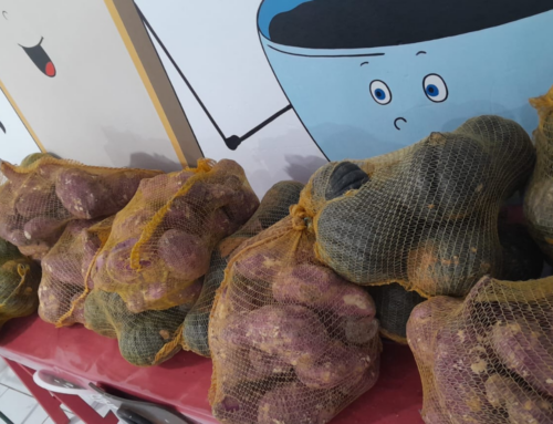 Balneário Gaivota retoma participação no PAA