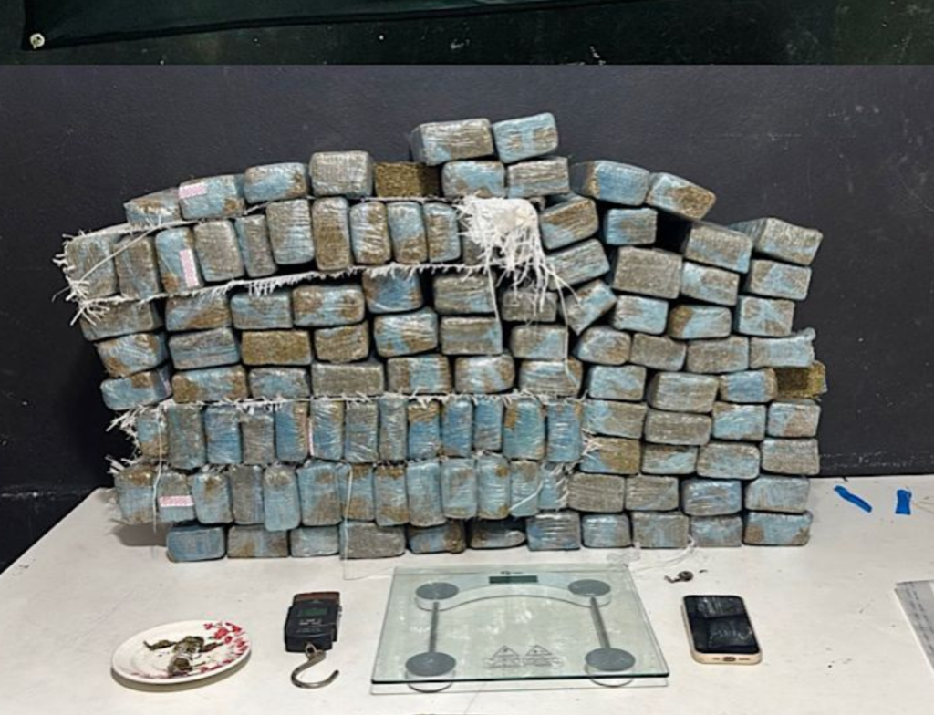 Polícia Militar apreende quase 90 kg de maconha em barbearia de Itajaí