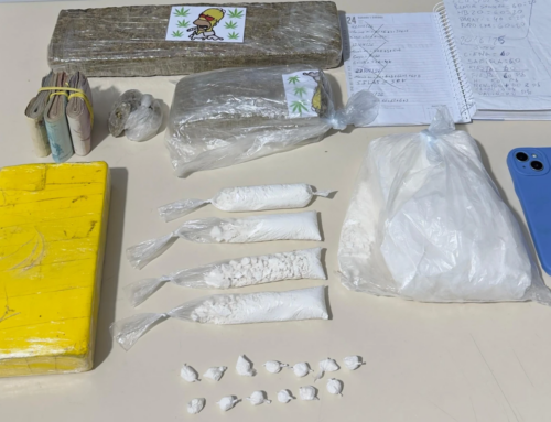 Dono de bar é preso por tráfico com apoio de cães farejadores em Braço do Norte