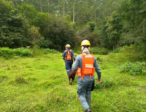 Homem desaparecido é encontrado morto em Nova Veneza