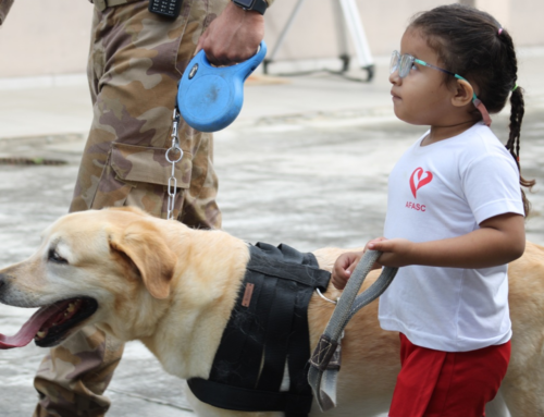 Cinoterapia com cães da PM beneficia crianças com TEA em Criciúma