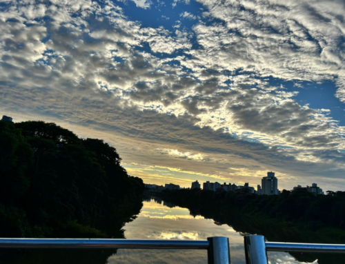 Temporais avançam e elevam risco de danos em SC nesta terça-feira