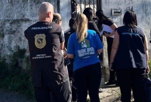 Cenário chocante: 32 cães são resgatados de maus-tratos em Palhoça