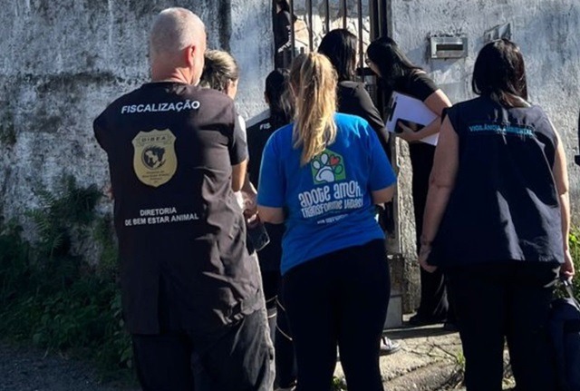 Cenário chocante: 32 cães são resgatados de maus-tratos em Palhoça